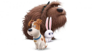 Louis C.K.’s talking-dog movie will be called <i>The Secret Life Of Pets</i>